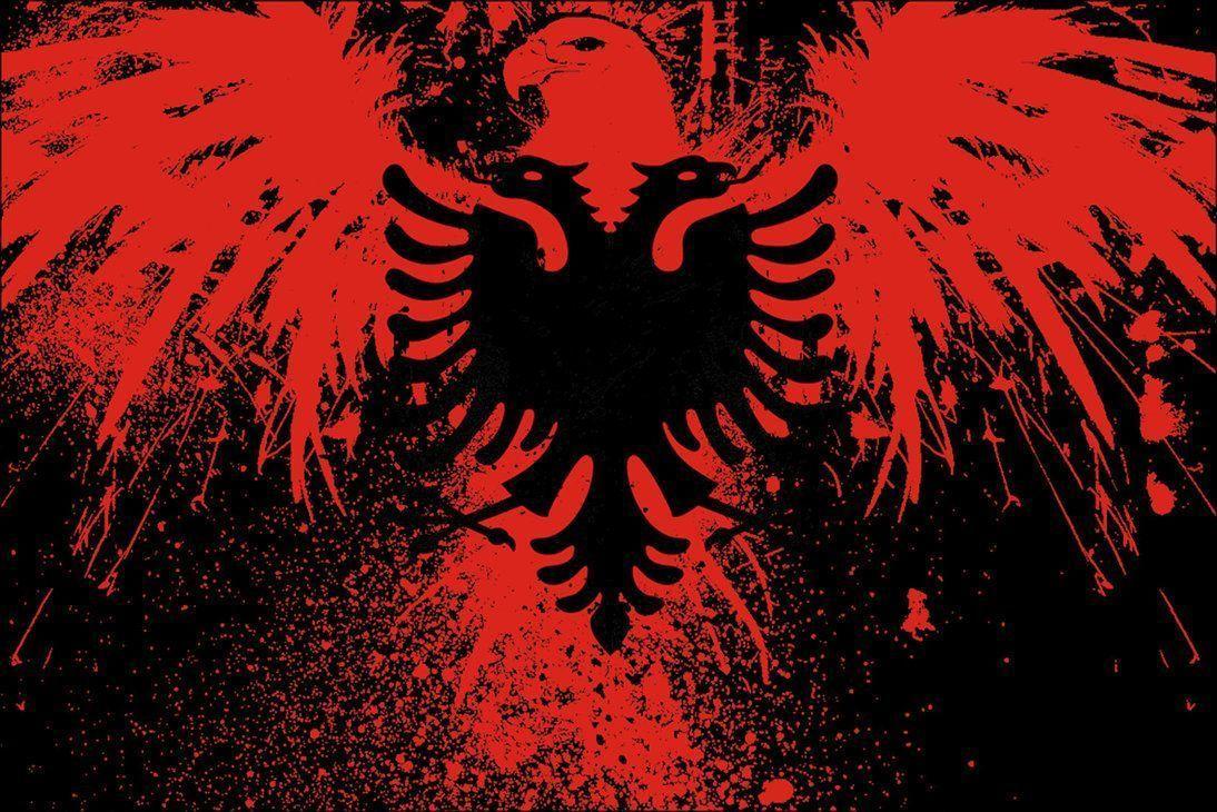 Albanian Eagle Shrook Wallpapers Free Download