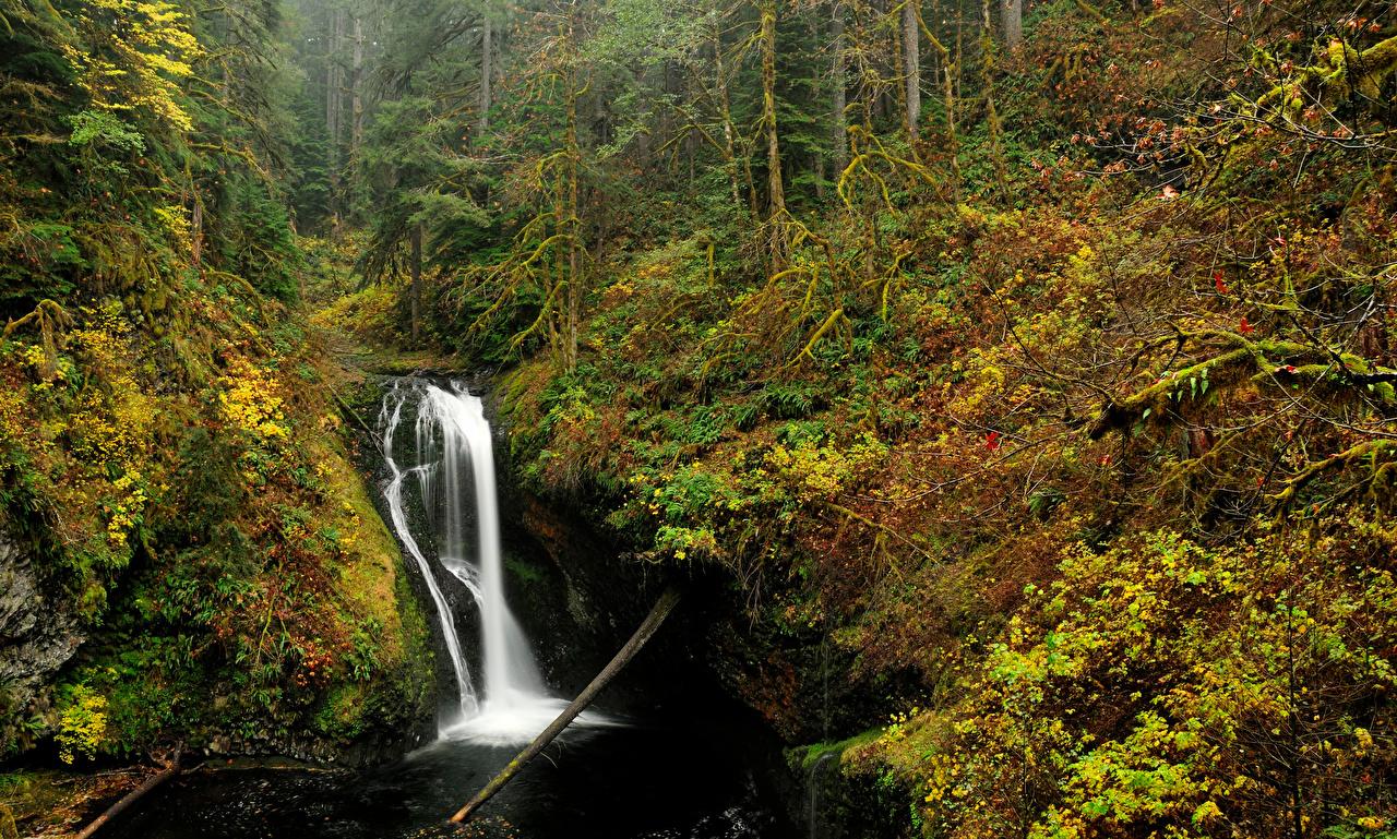 Wallpapers USA Oregon Nature Autumn Waterfalls Forests