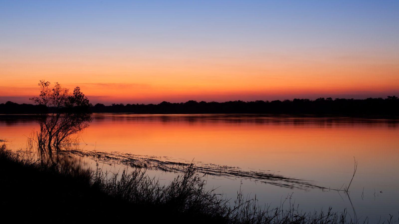 Discover Lower Zambezi National Park