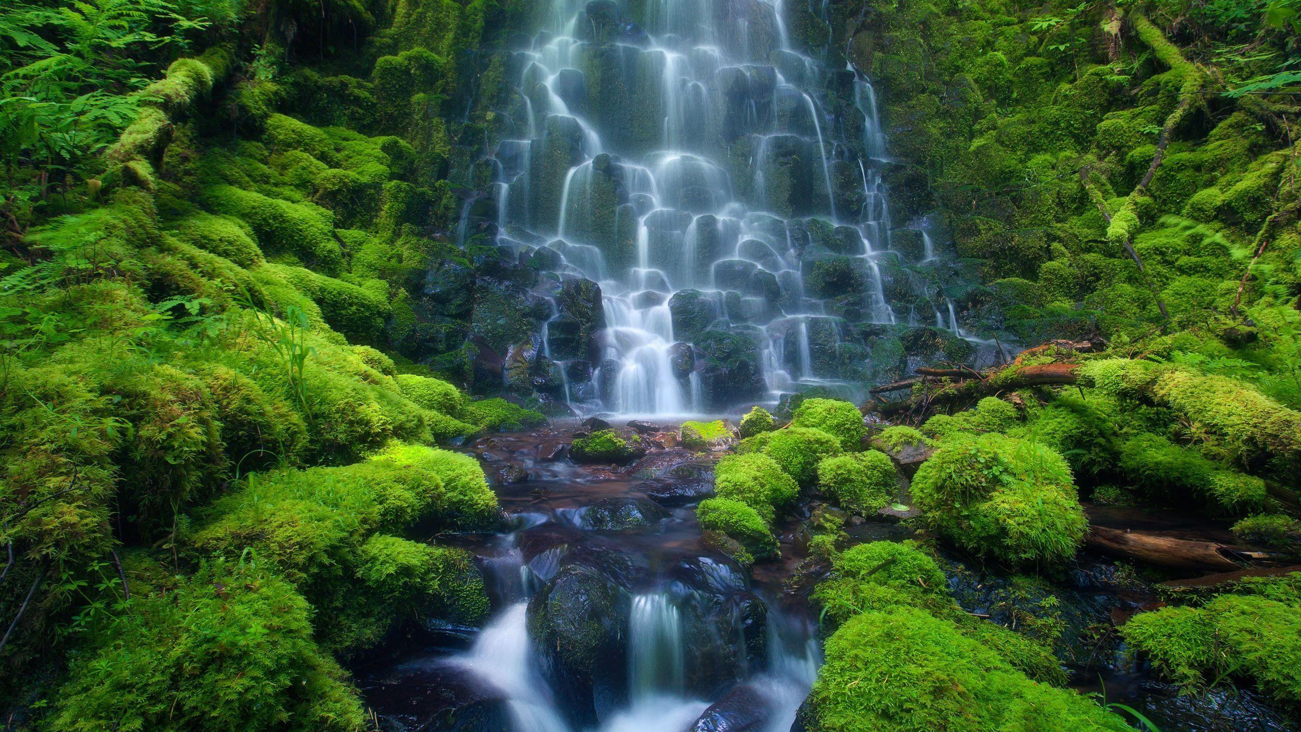 Amazon Rainforest Waterfall Wallpaper, Size: