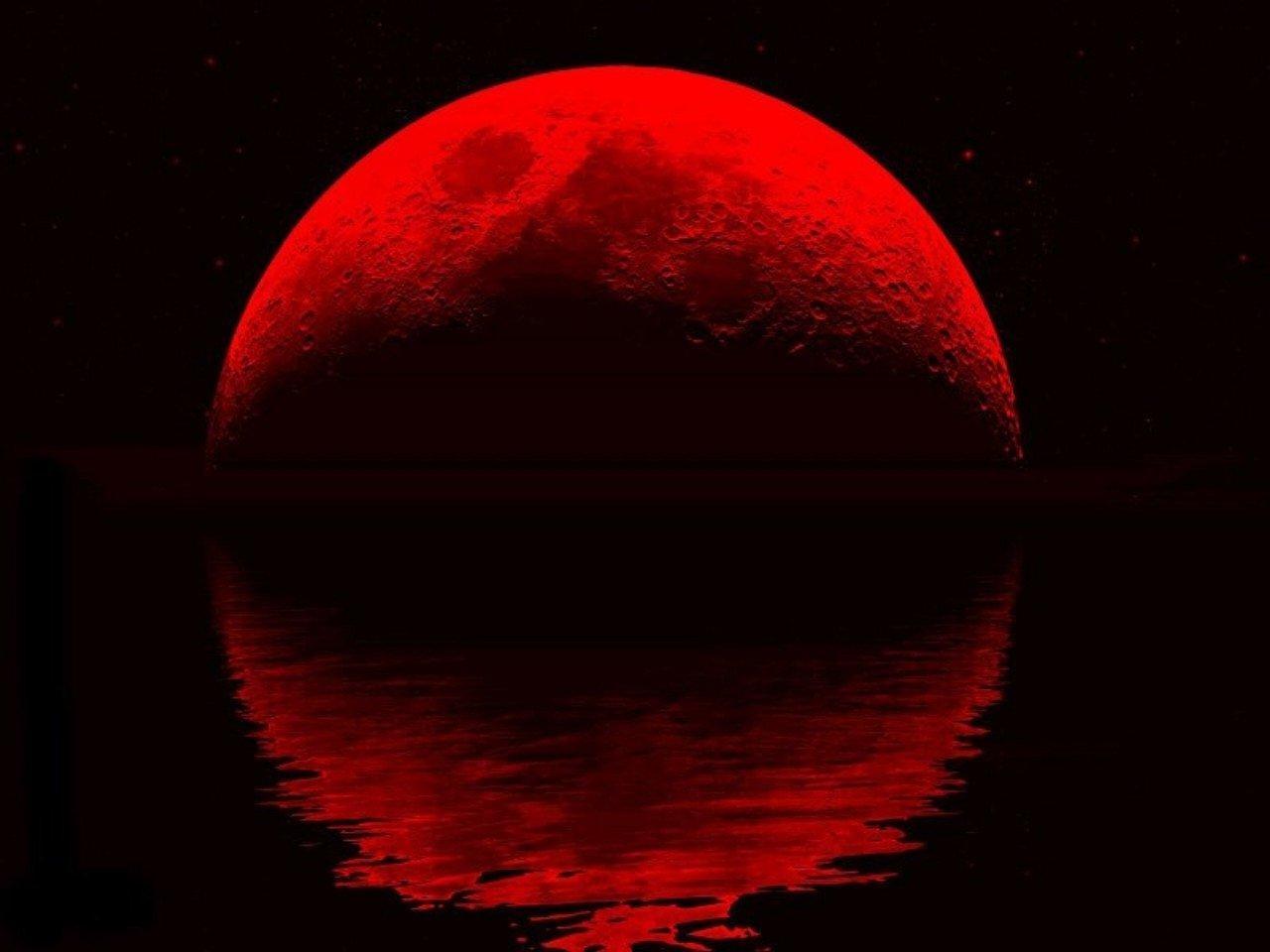 BLOOD RED MOON : Desktop and mobile wallpapers : Wallippo