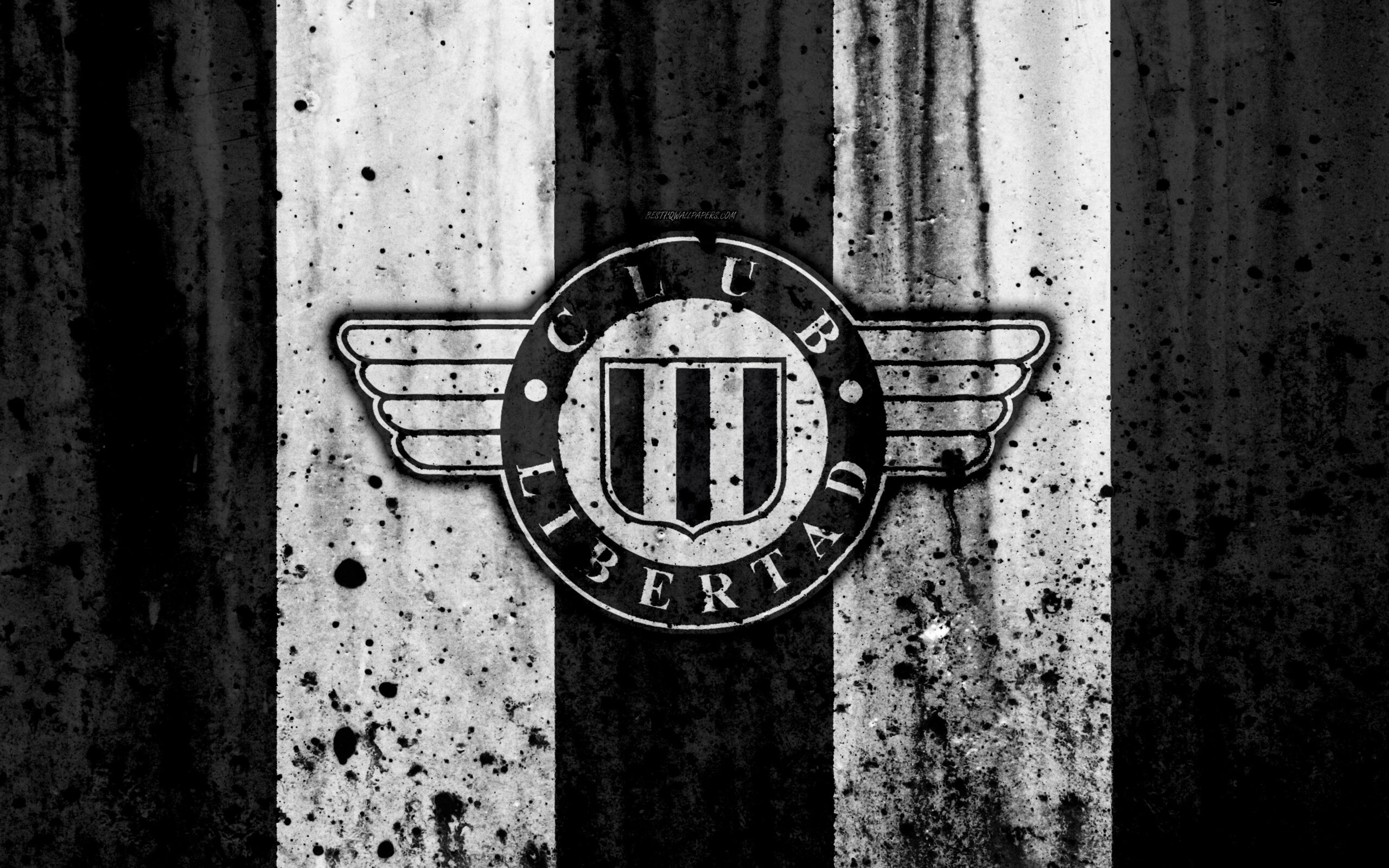 Download wallpapers 4k, FC Libertad Asuncion, grunge, Paraguayan