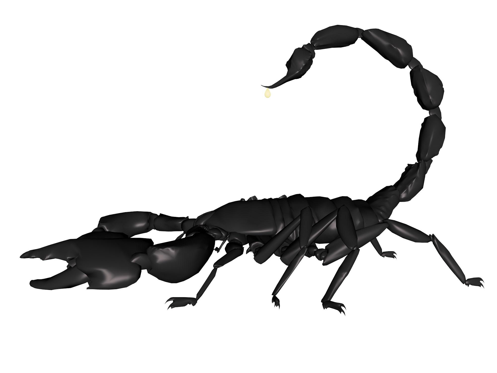 scorpion wallpapers for mac desktop