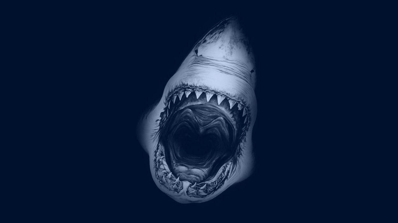 Great White Shark desktop PC and Mac wallpapers