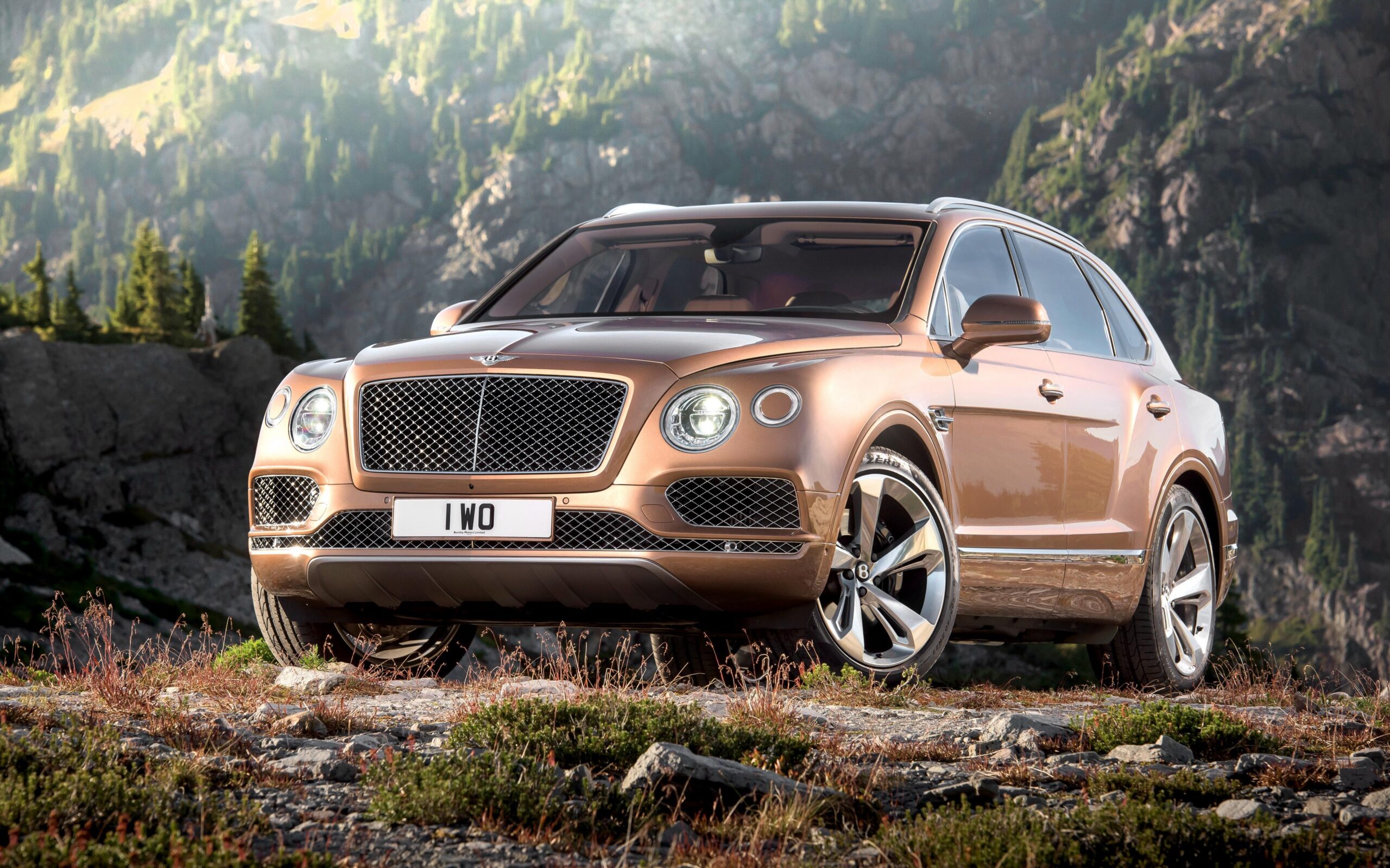 Download wallpapers bentley, bentayga, brown, side view 4k