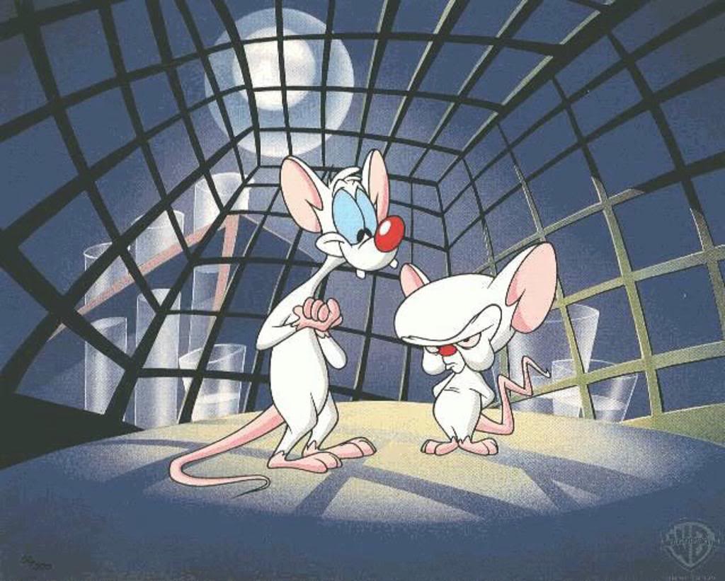 Pinky and the Brain Wallpapers