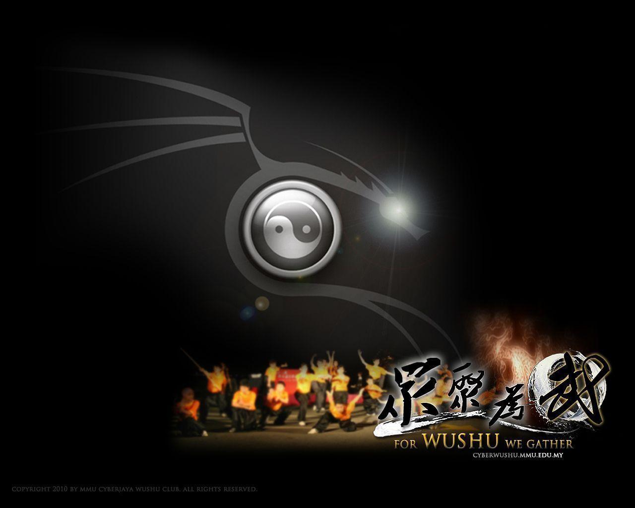 Image For > Wushu Sanda Wallpapers