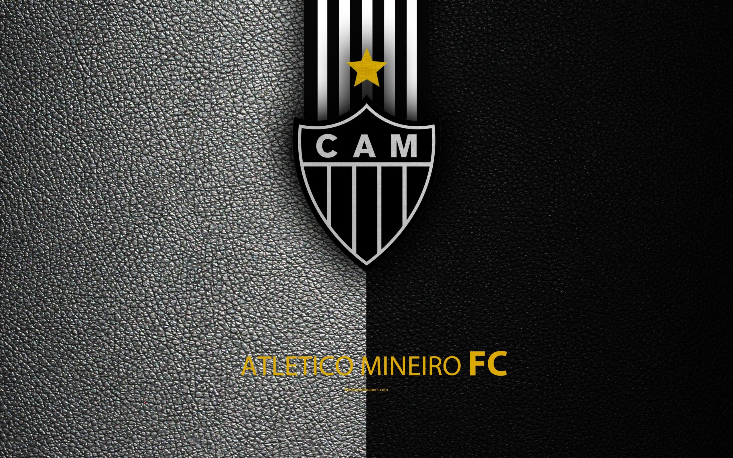 Download wallpapers Atletico Mineiro FC, 4K, Brazilian football