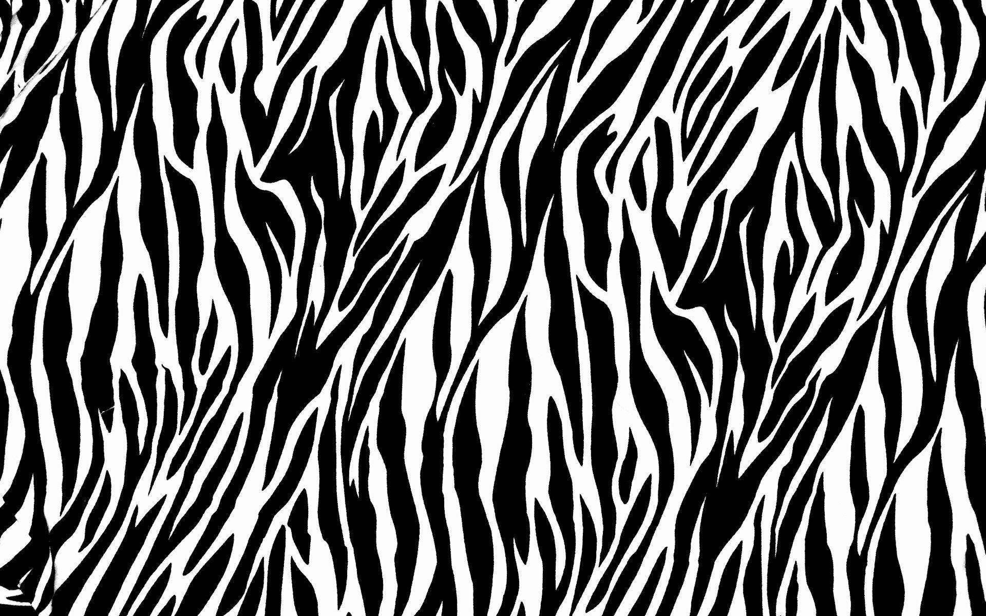 Zebra Computer Wallpapers