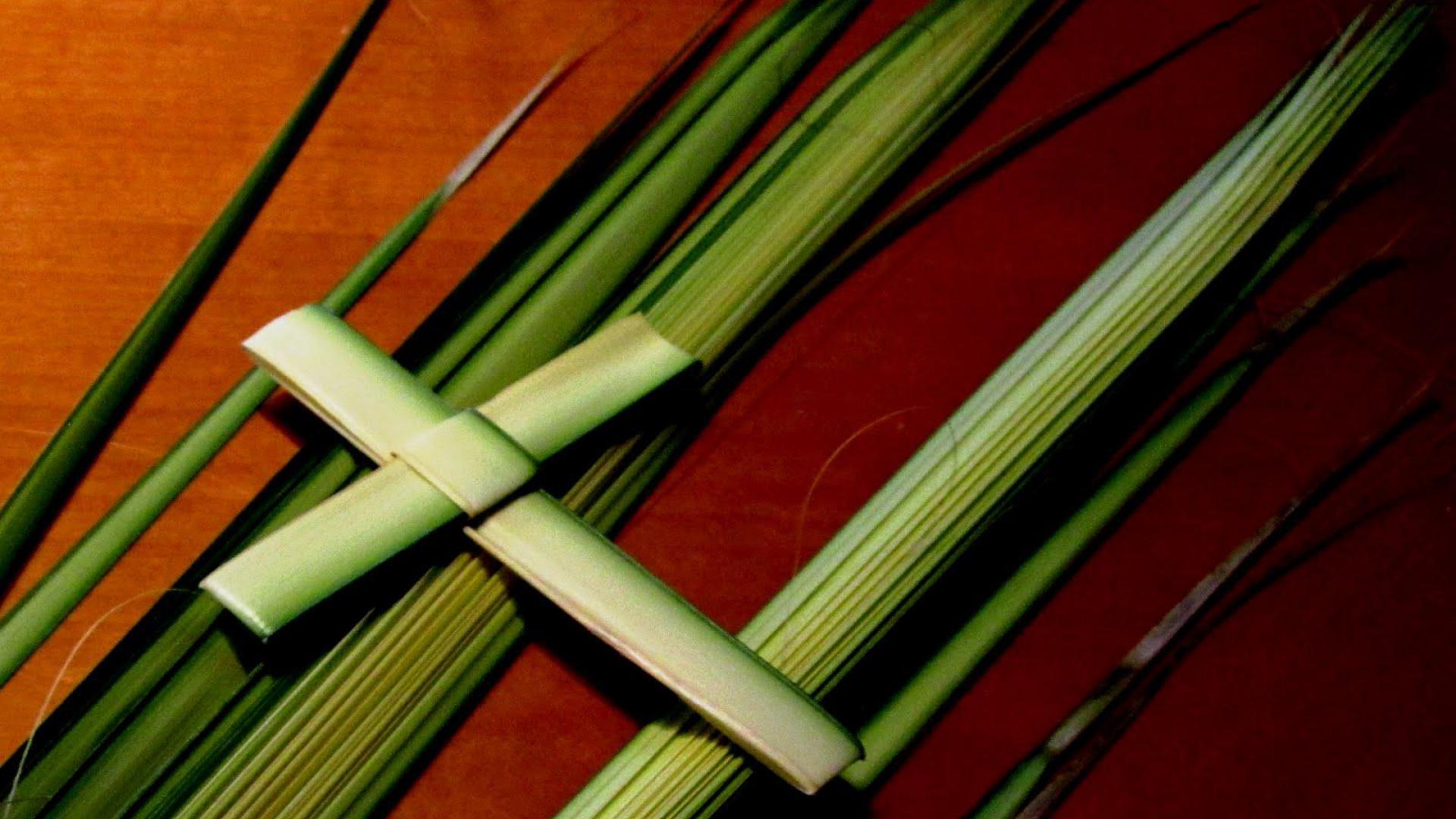 Palm Sunday Wallpaper Backgrounds