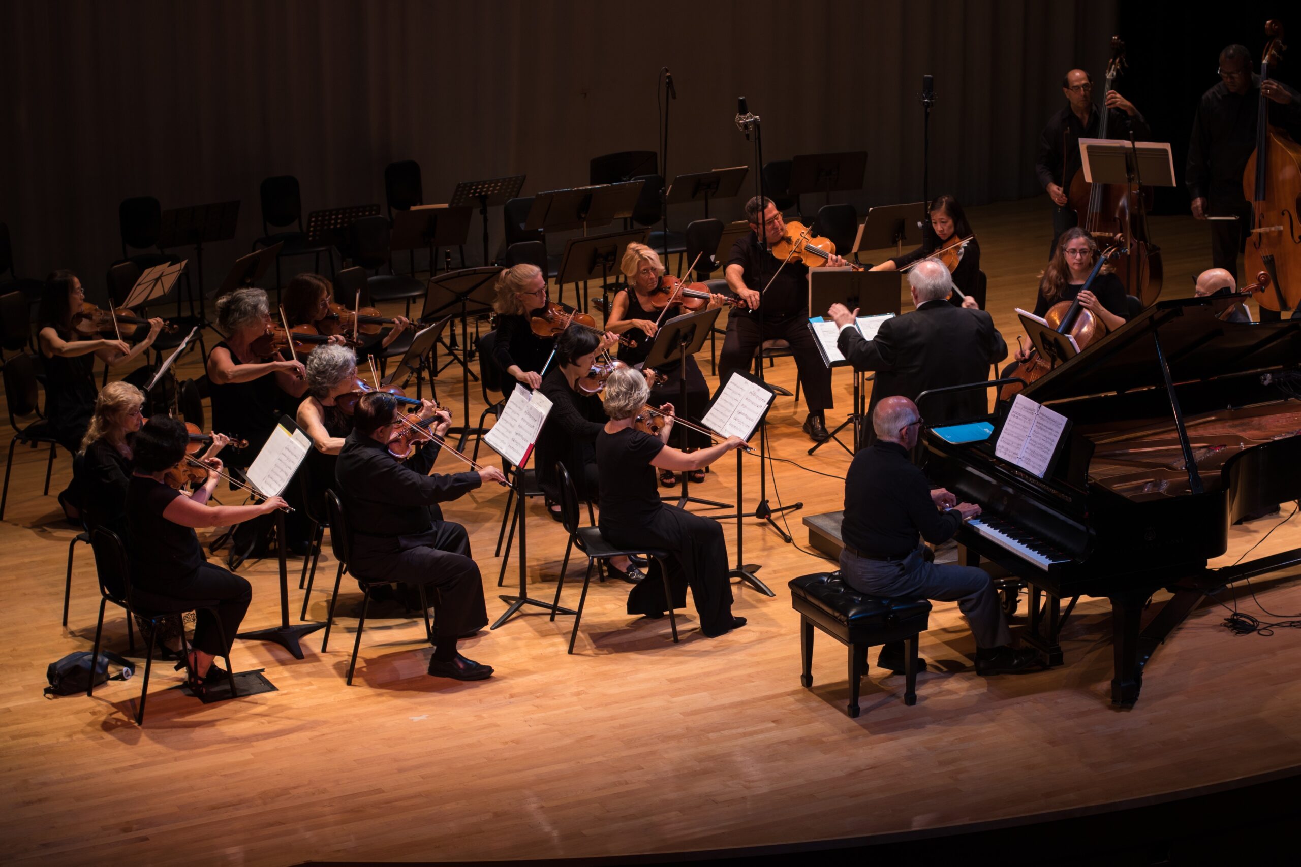 Free stock photo of baroque, cello, chamber music