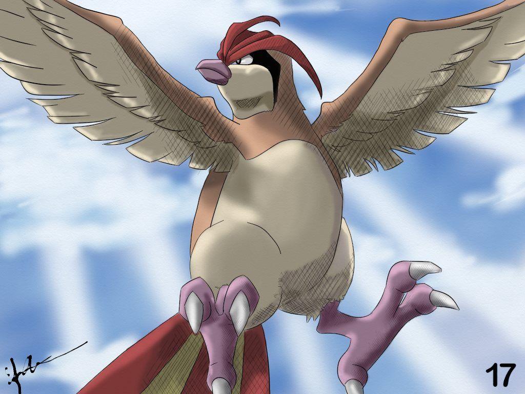 17 Pidgeotto by ArtDean1992