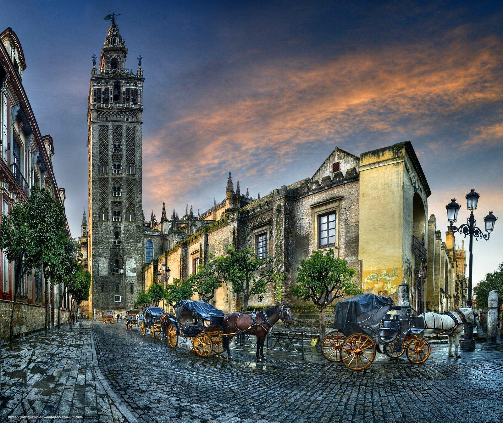 Download wallpapers Cathedral and the Giralda in Seville, Catedral