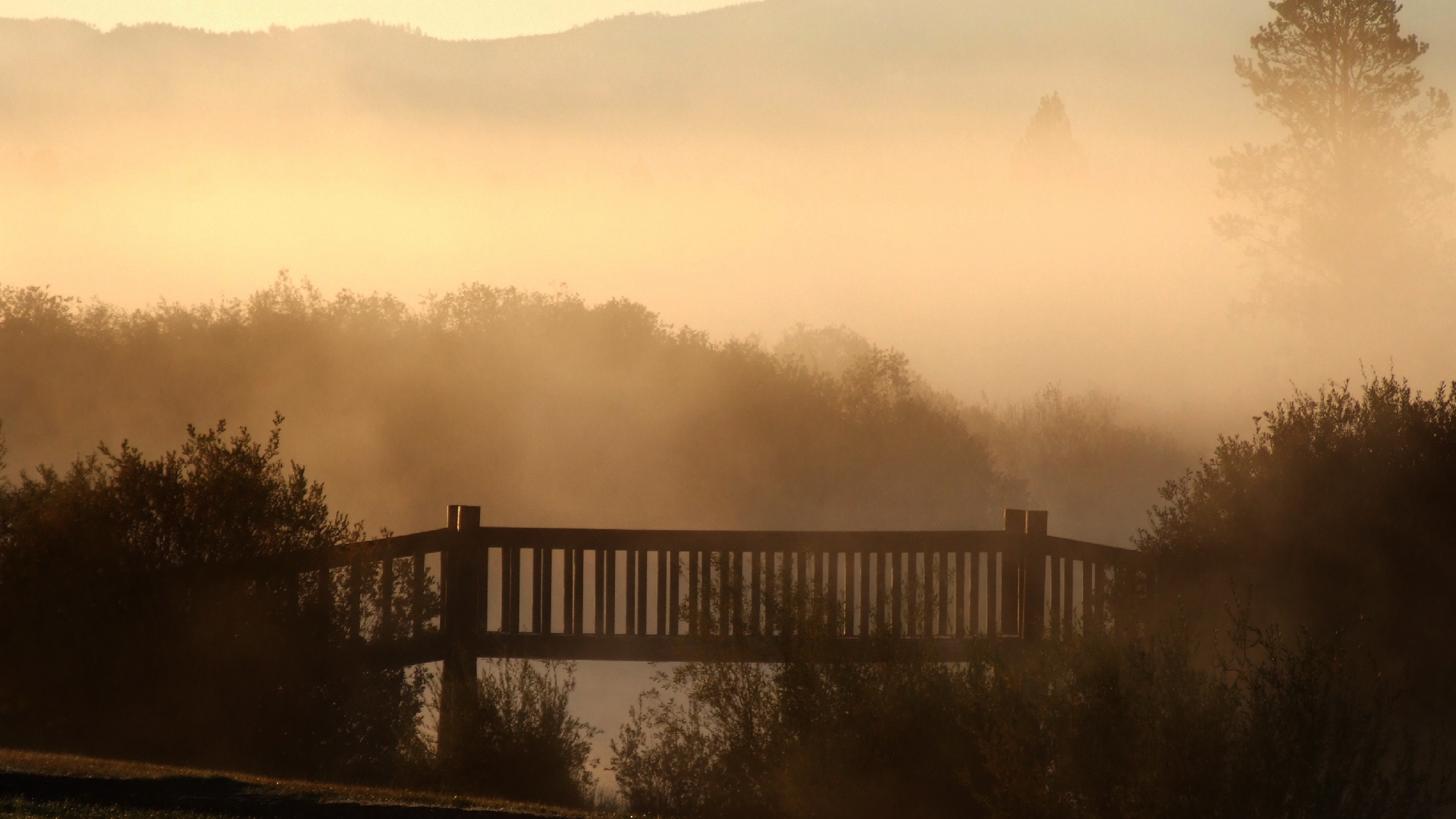 Bridge in mist wallpapers