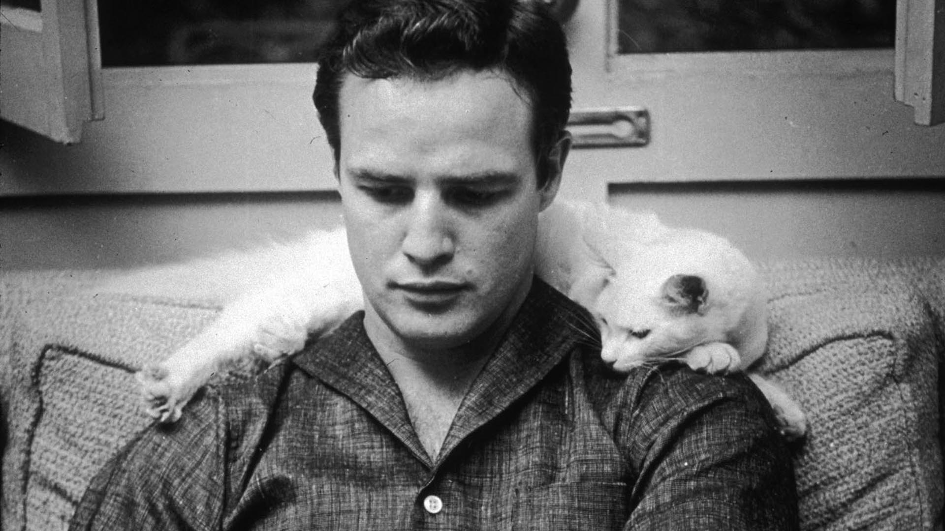 Fonds d&Marlon Brando : tous les wallpapers Marlon Brando