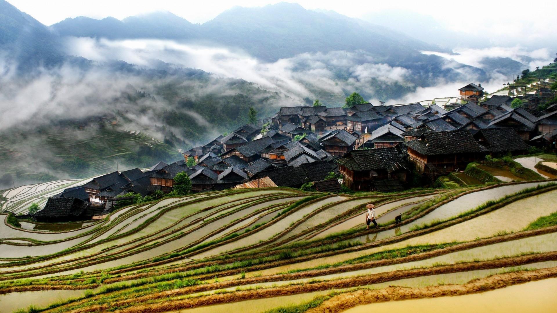 Terraces Tag wallpapers: Stairways Banaue Rice Terraces Gallery