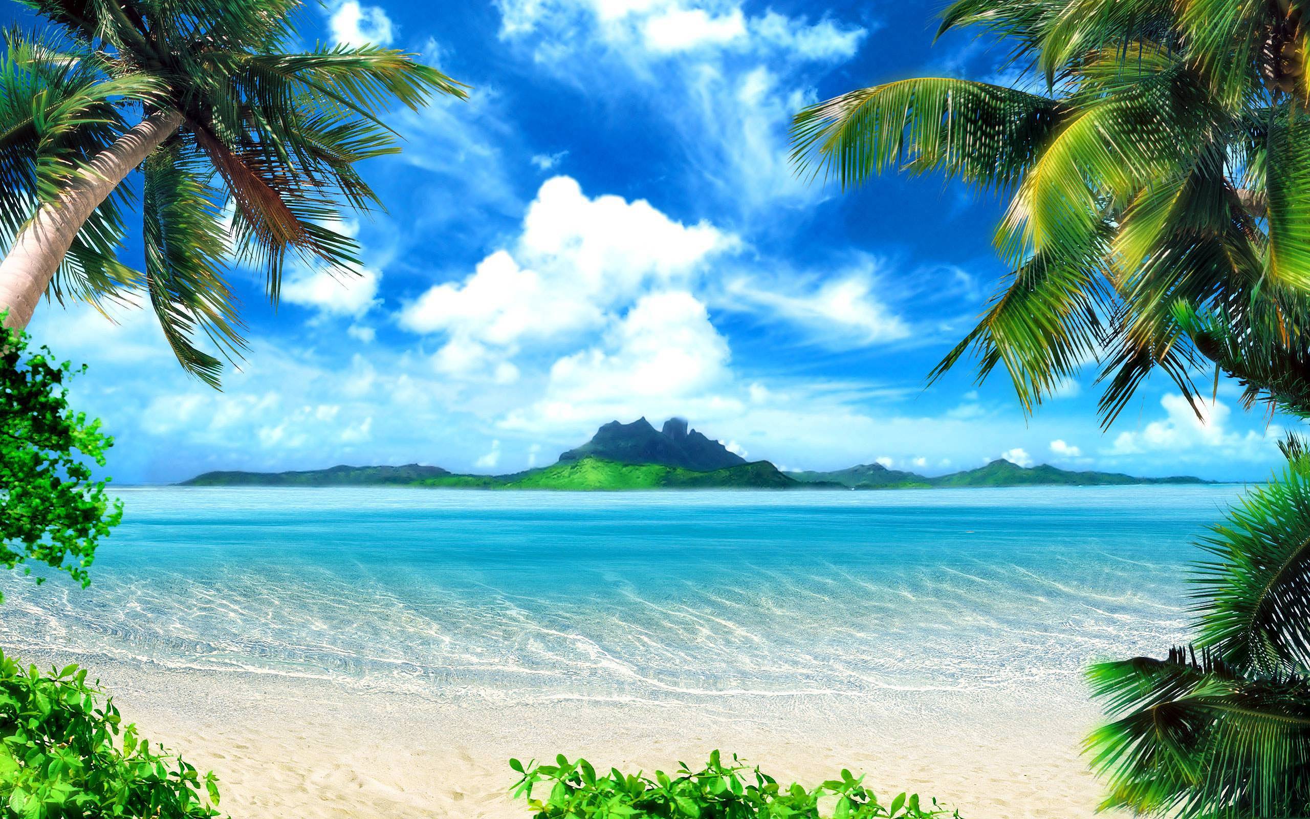 Tropical Wallpapers