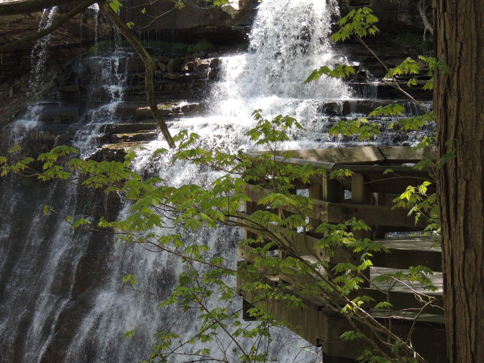 Brandywine Falls