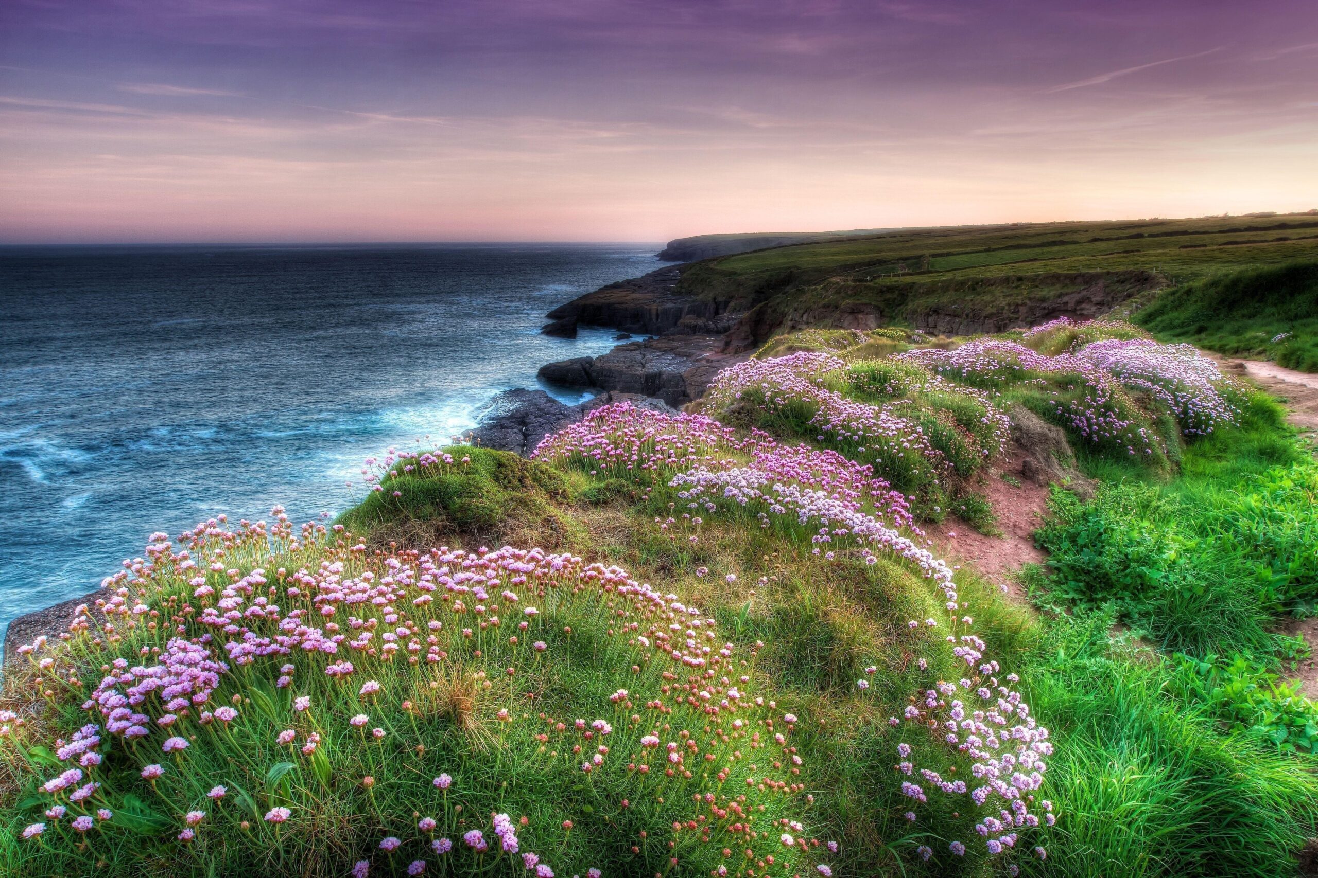 Beaches meadows sea wallpapers