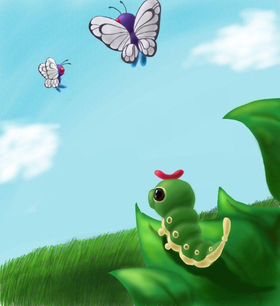 Caterpie and Butterfree