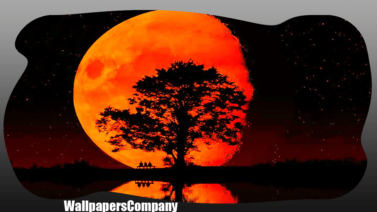 Blood Moon Wallpapers