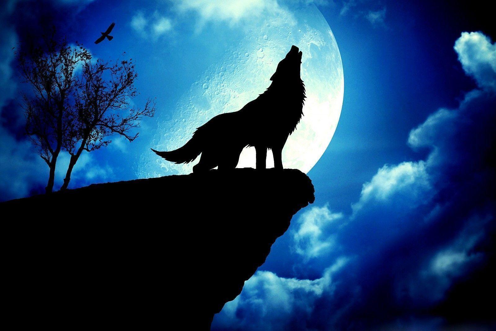 Hintergrundbilder für> Wolf Moon Wallpapers 3d