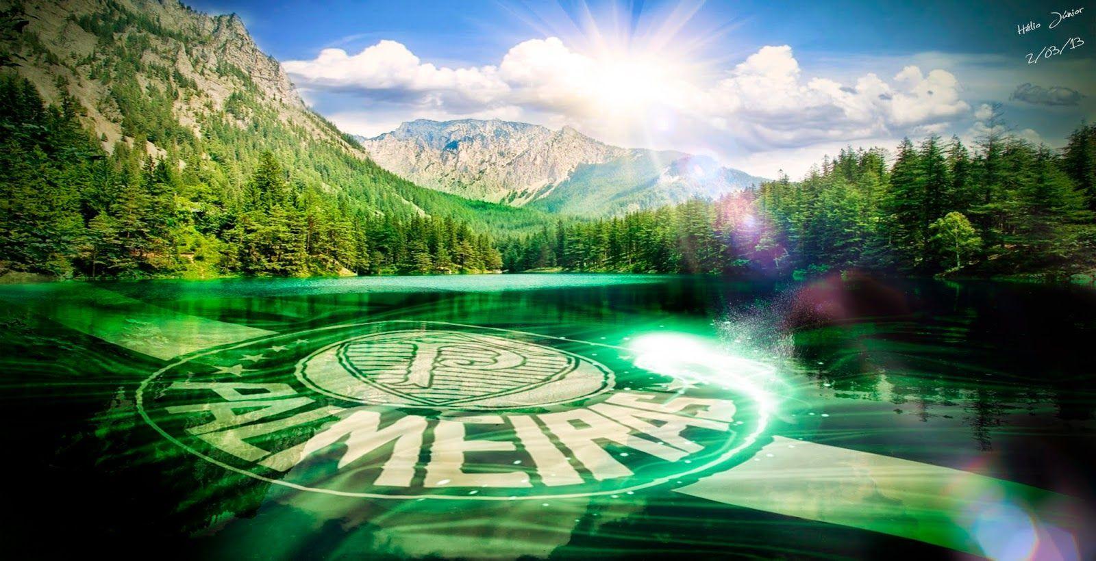 Palmeiras HD Wallpapers