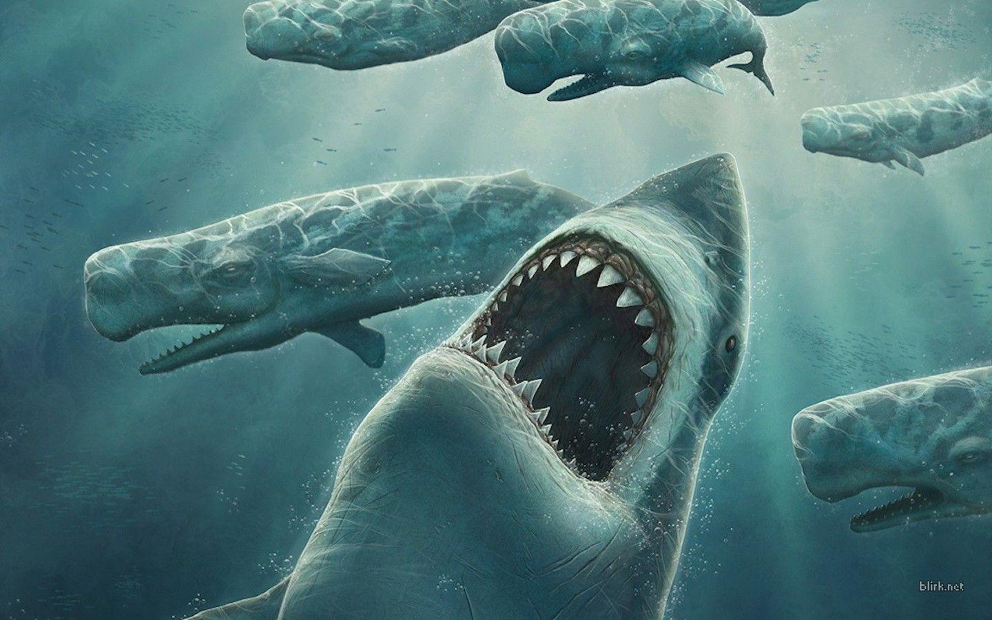 Shark Computer Wallpapers, Desktop Backgrounds Id: 81300