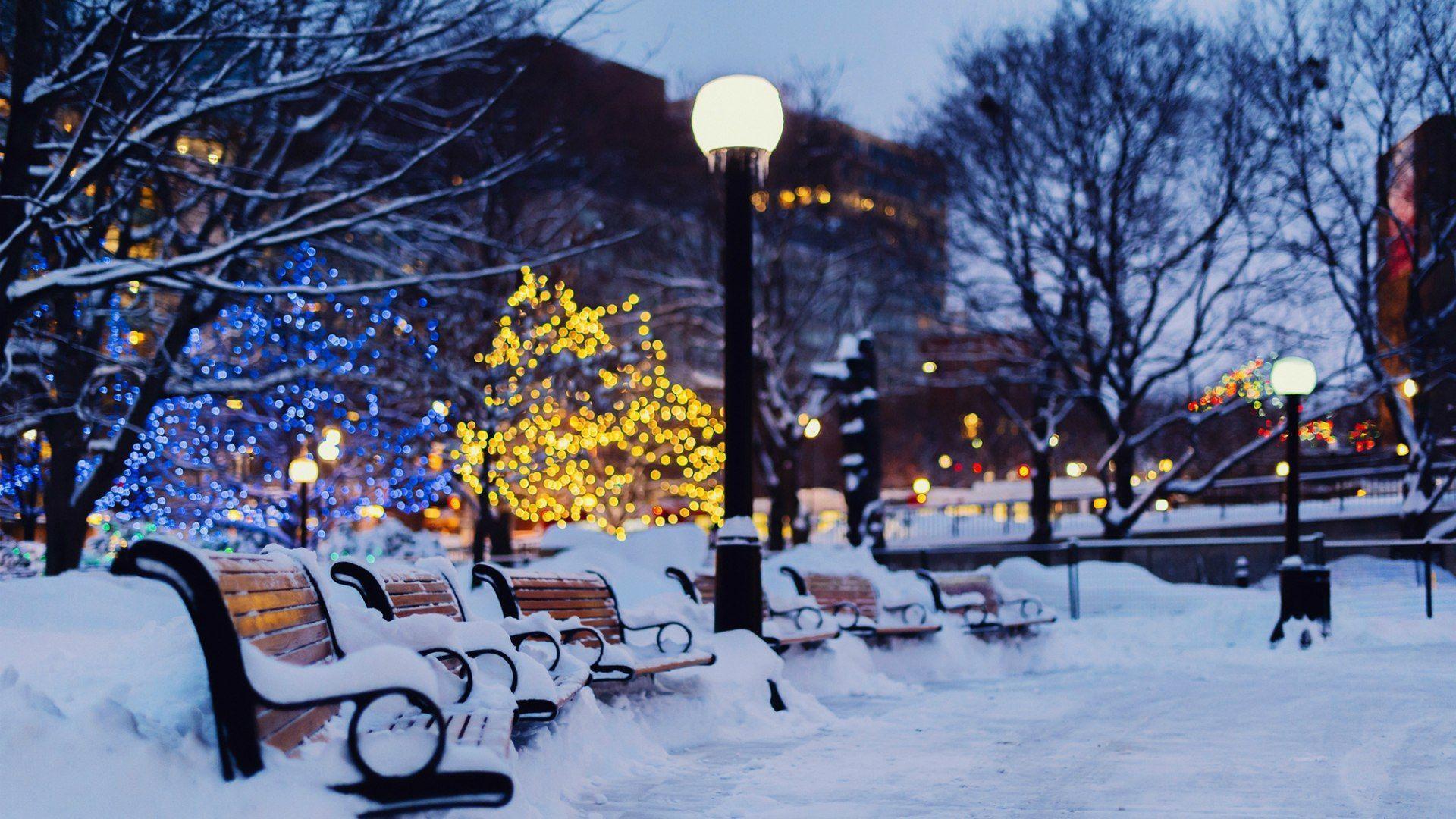 Winter park in Ottawa, Canada wallpapers and image