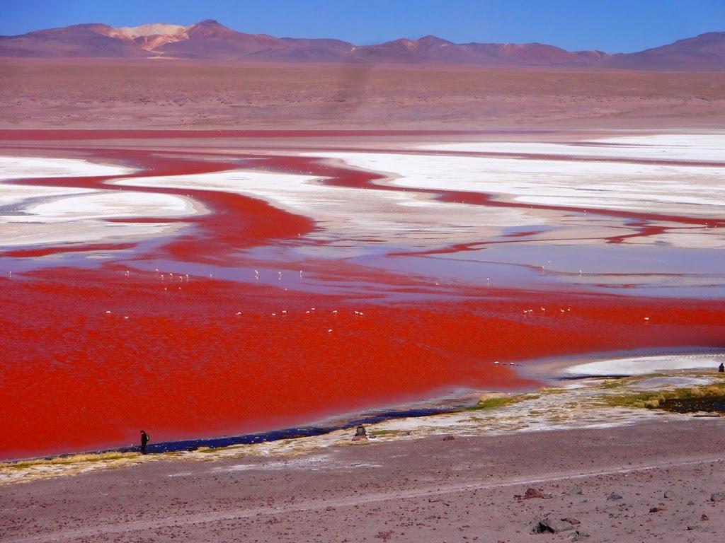 Laguna Colorada,