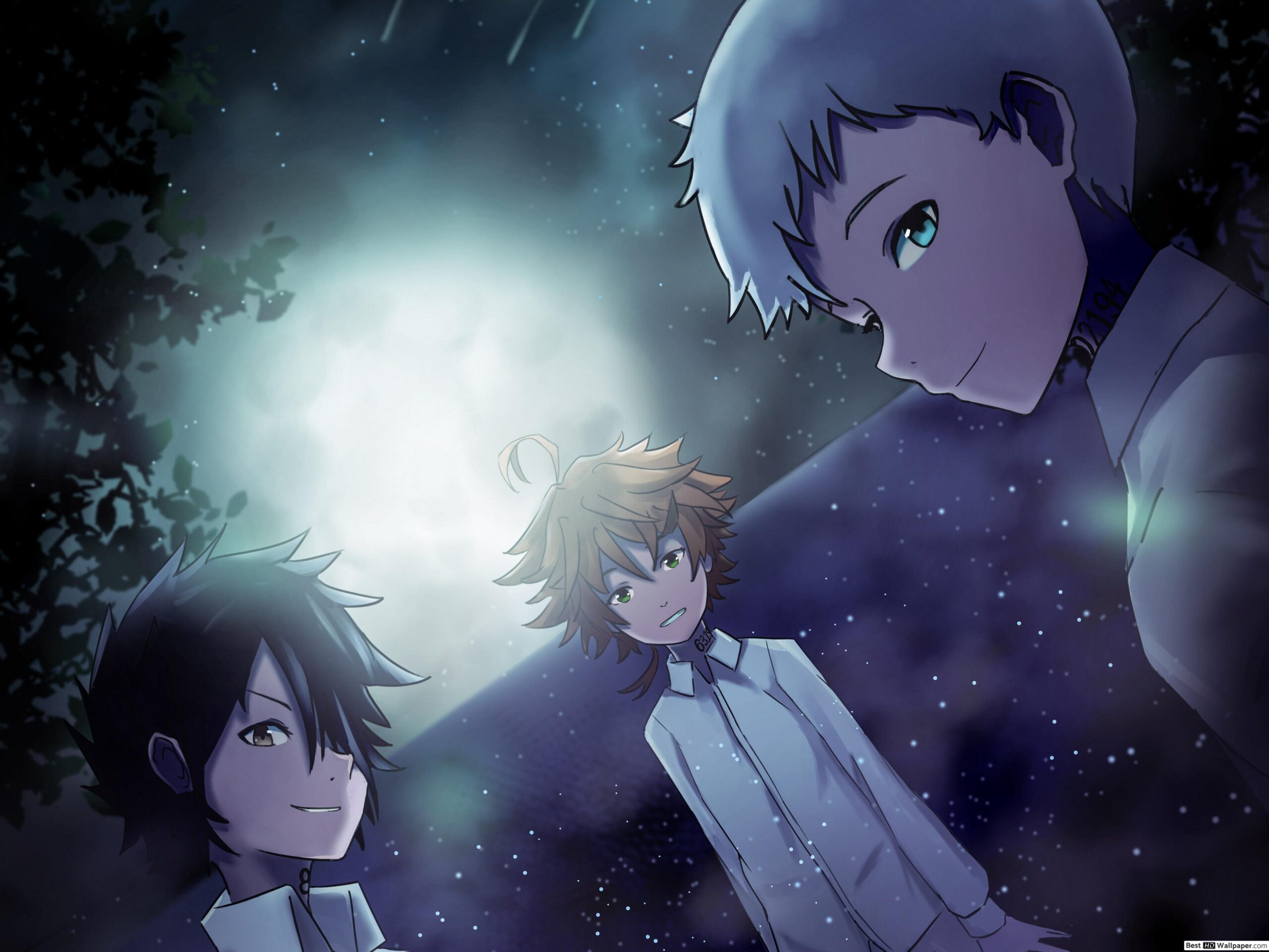 35+] The Promised Neverland Wallpapers