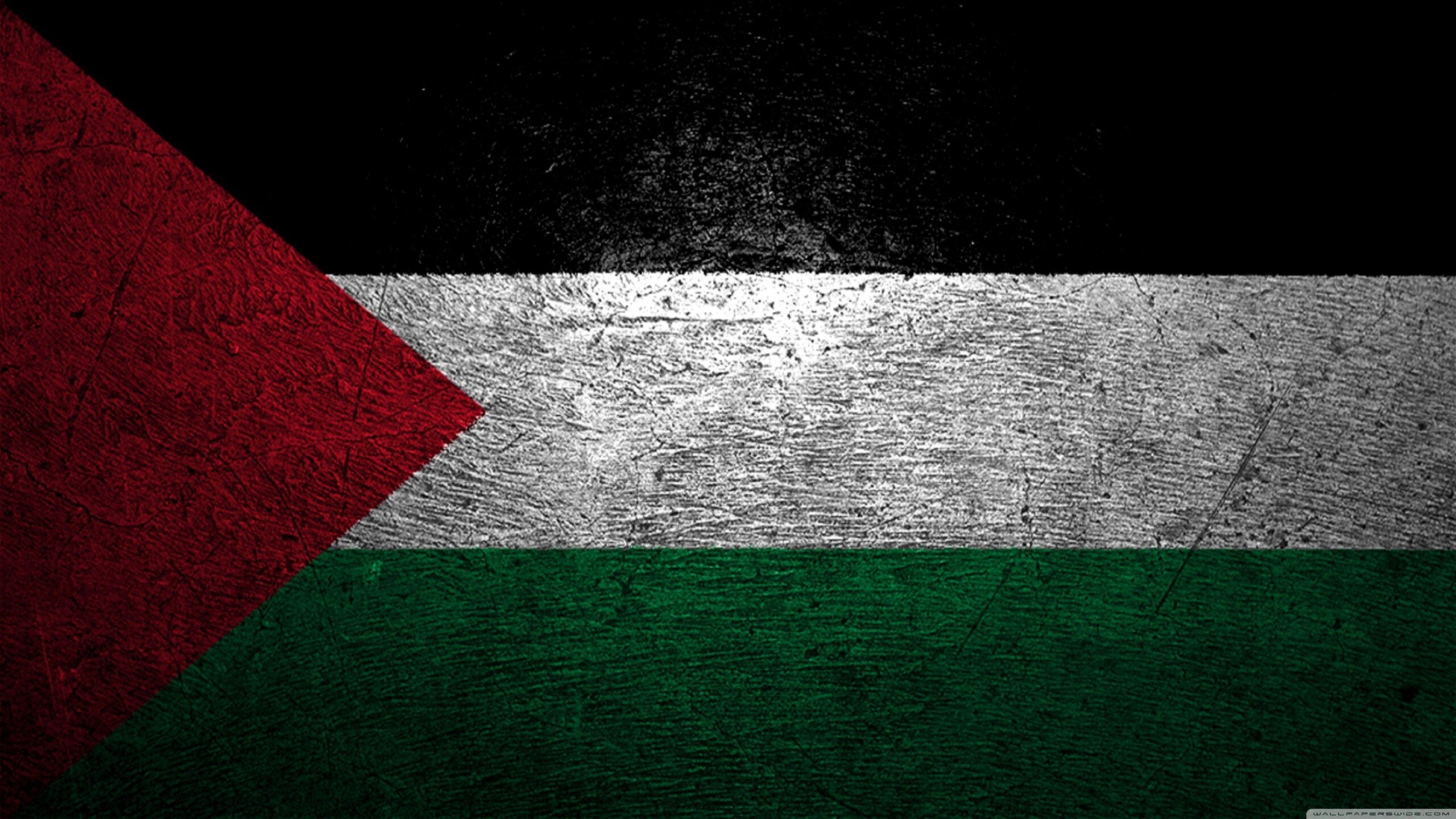 60125 Palestine Flag Wallpaper, Flag Wallpapers