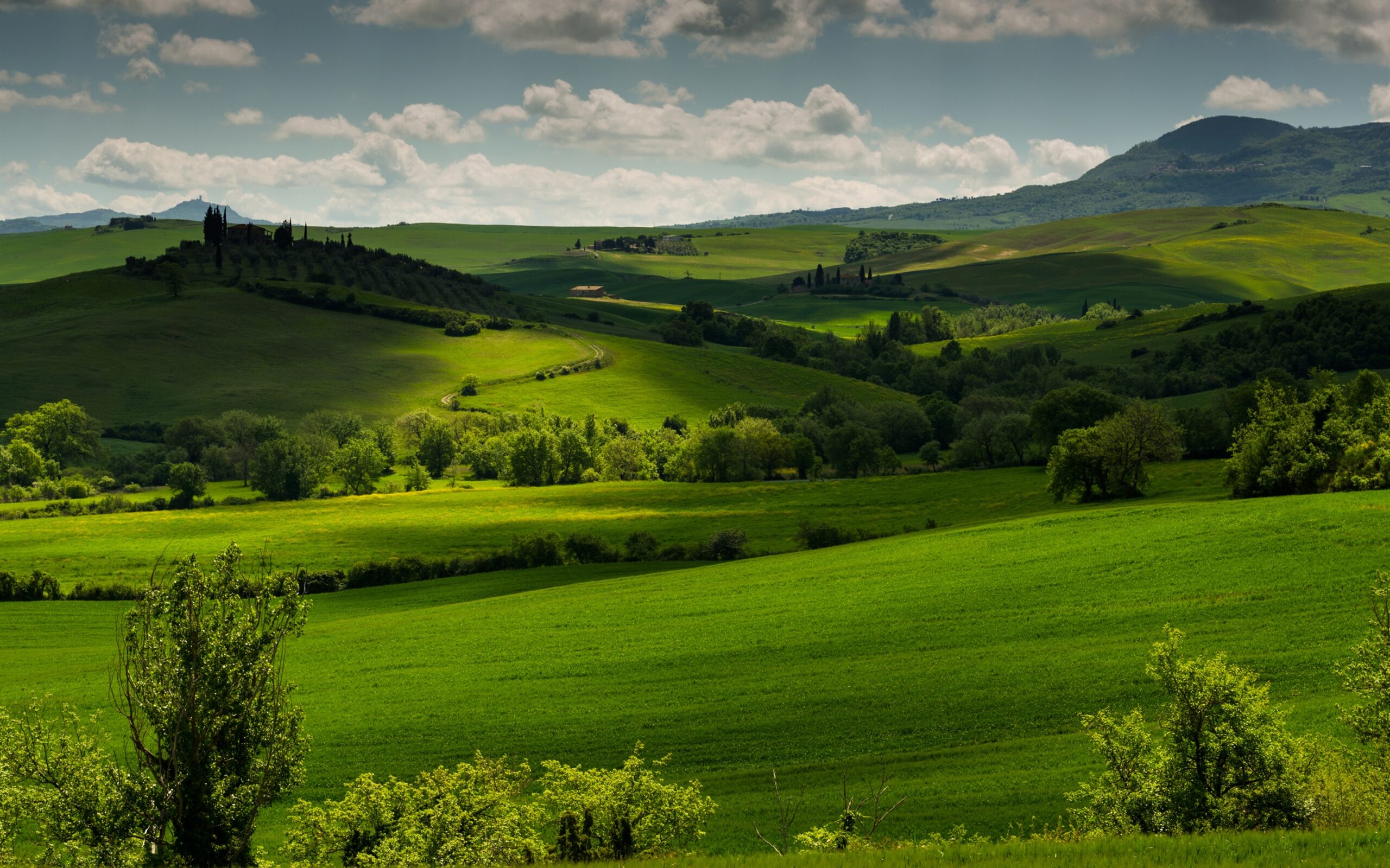 Pienza, Tuscany, Italy, spring scenery, fields, trees, morning, fog