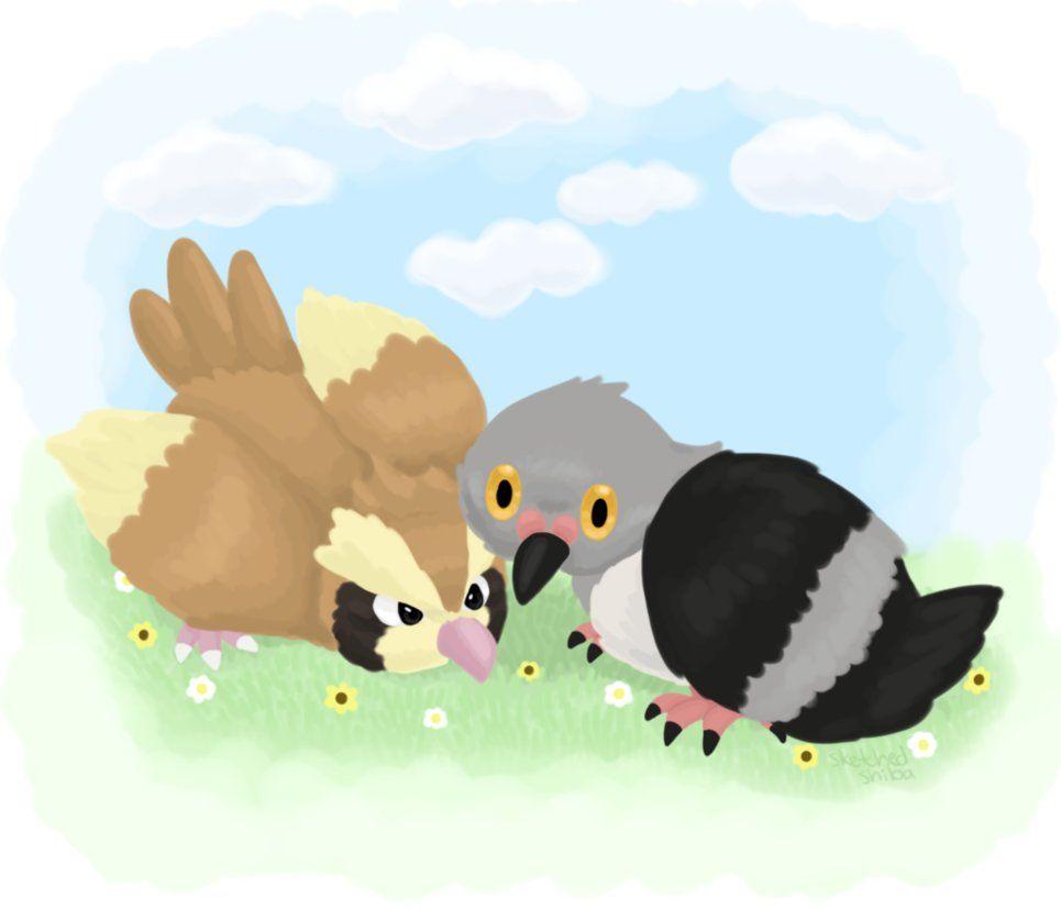 Pidgey and Pidove by peachshiba