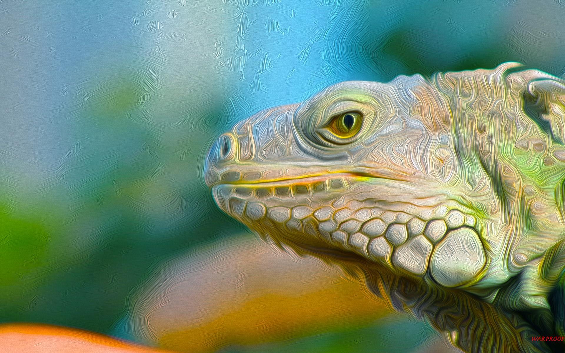 Iguana Wallpapers Image Group