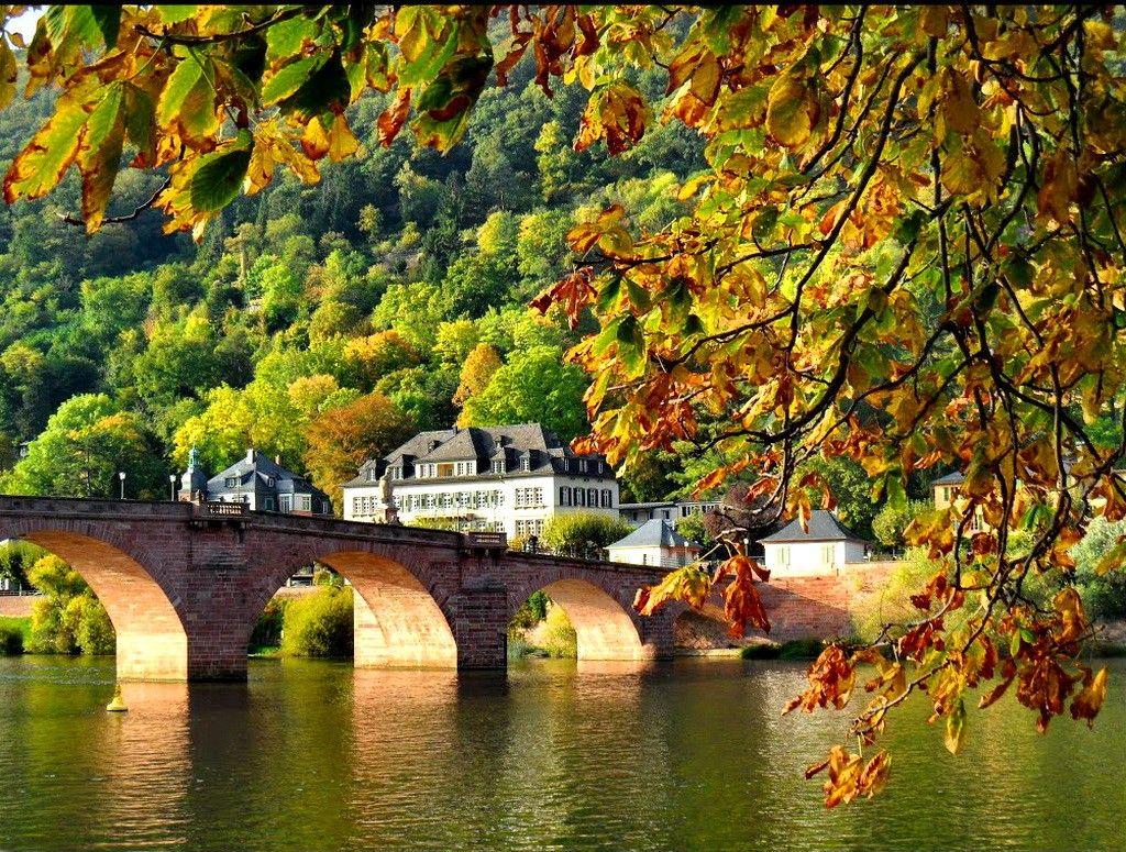 Heidelberg Tag wallpapers: Old Bridge Place Foliage Shore Lake