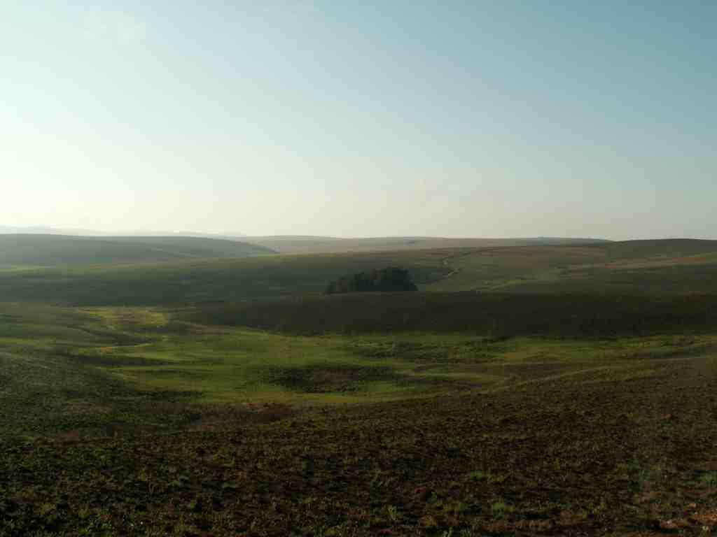 Nyika Plateau