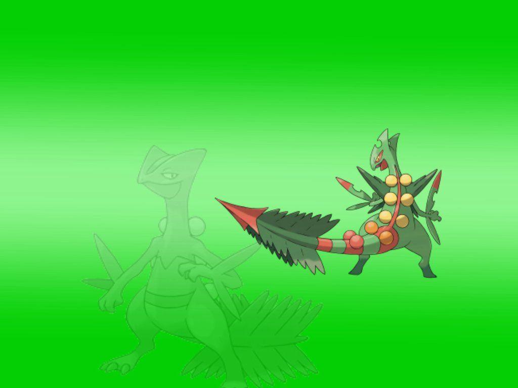 Mega Sceptile Wallpapers by DerpGuy203