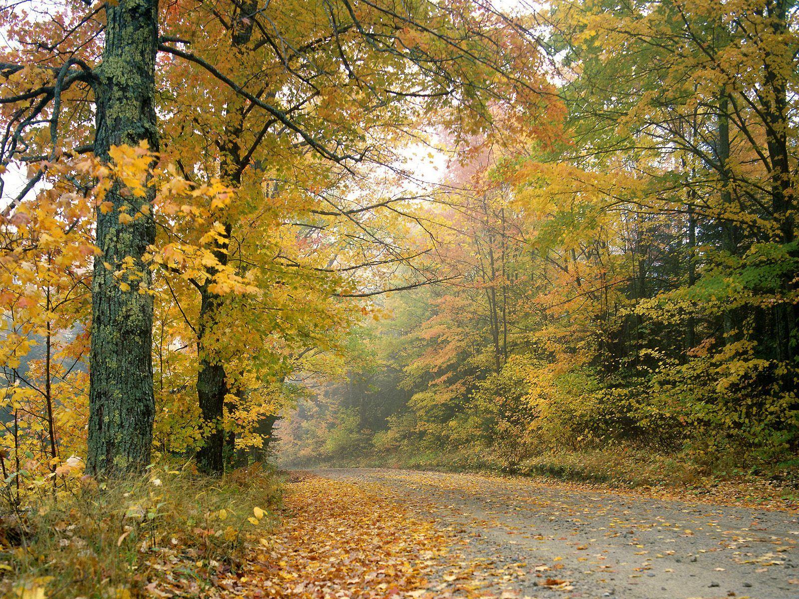 Crisp Autumn Afternoon Vermont HD Wallpapers – HD Wallpapers