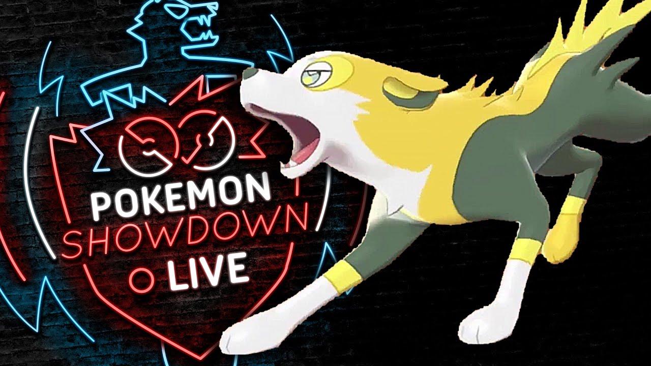 Enter BOLTUND! Pokemon Sword and Shield! Boltund Pokemon Showdown Live!