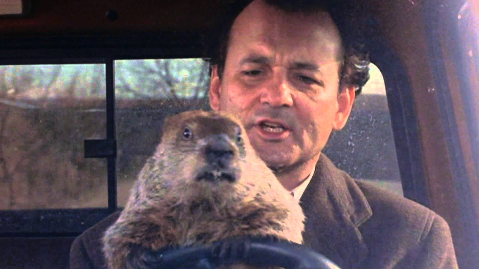 Video Breaks Down How Long Phil Spent Stuck In GROUNDHOG DAY