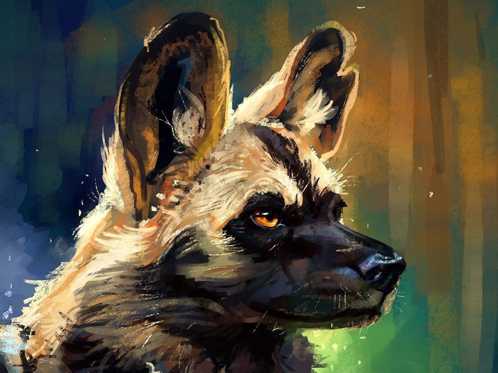 Image African wild dog Hyenic dog Head Animals Painting