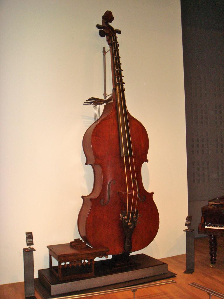 The World’s Best Photos of octobass