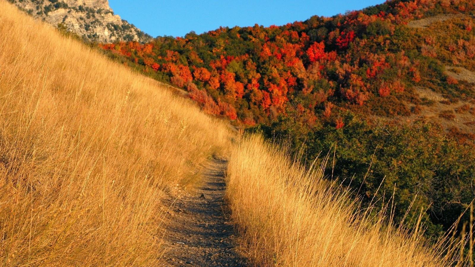 Group of Appalachian Mountains Wallpapers Free