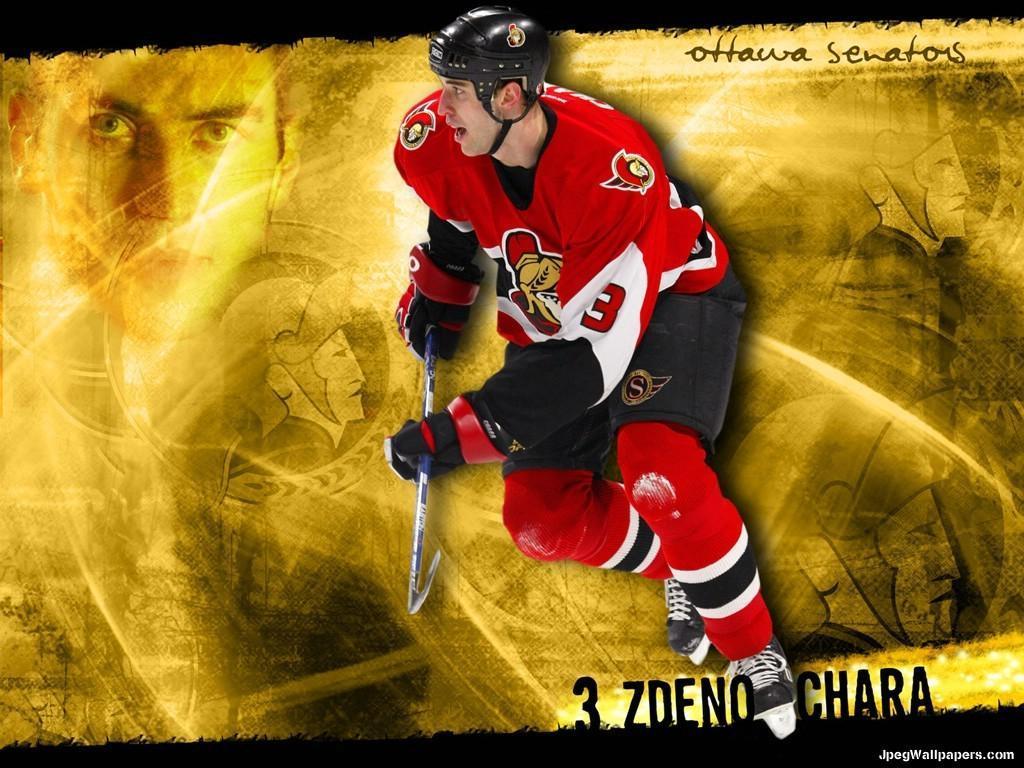 Zdeno Chara Wallpapers : HD Wallpapers