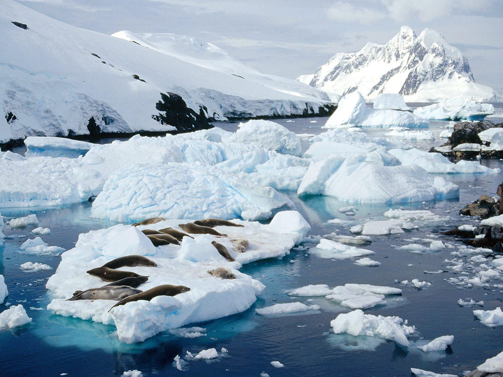 ANTARTICA image Peterman Island