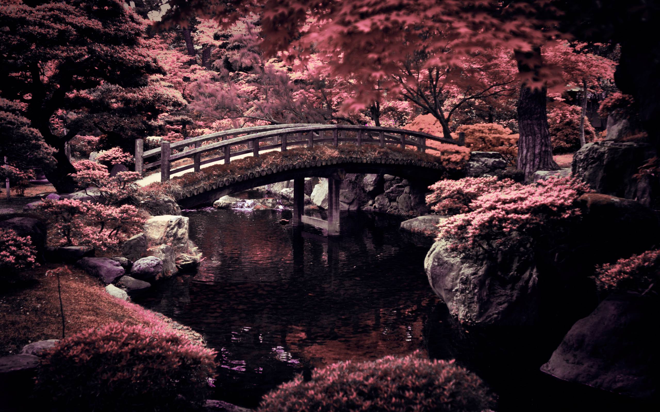 Japan Natures Wallpapers Wallpapers