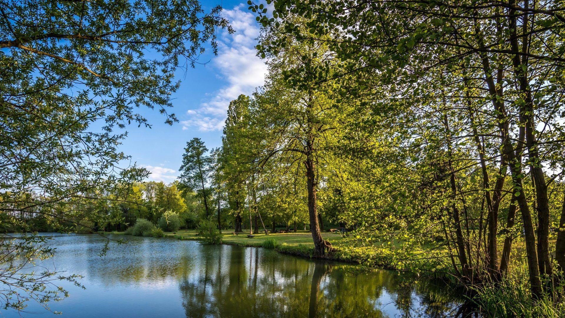 Bobovica Tag wallpapers: Nature Trees Bobovica Summer Zagreb