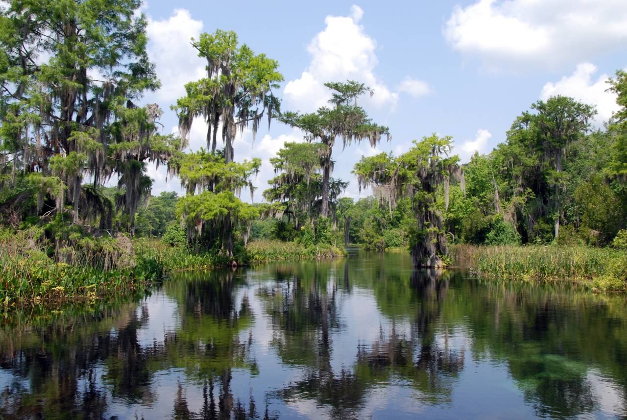 Exploring Everglades National Park