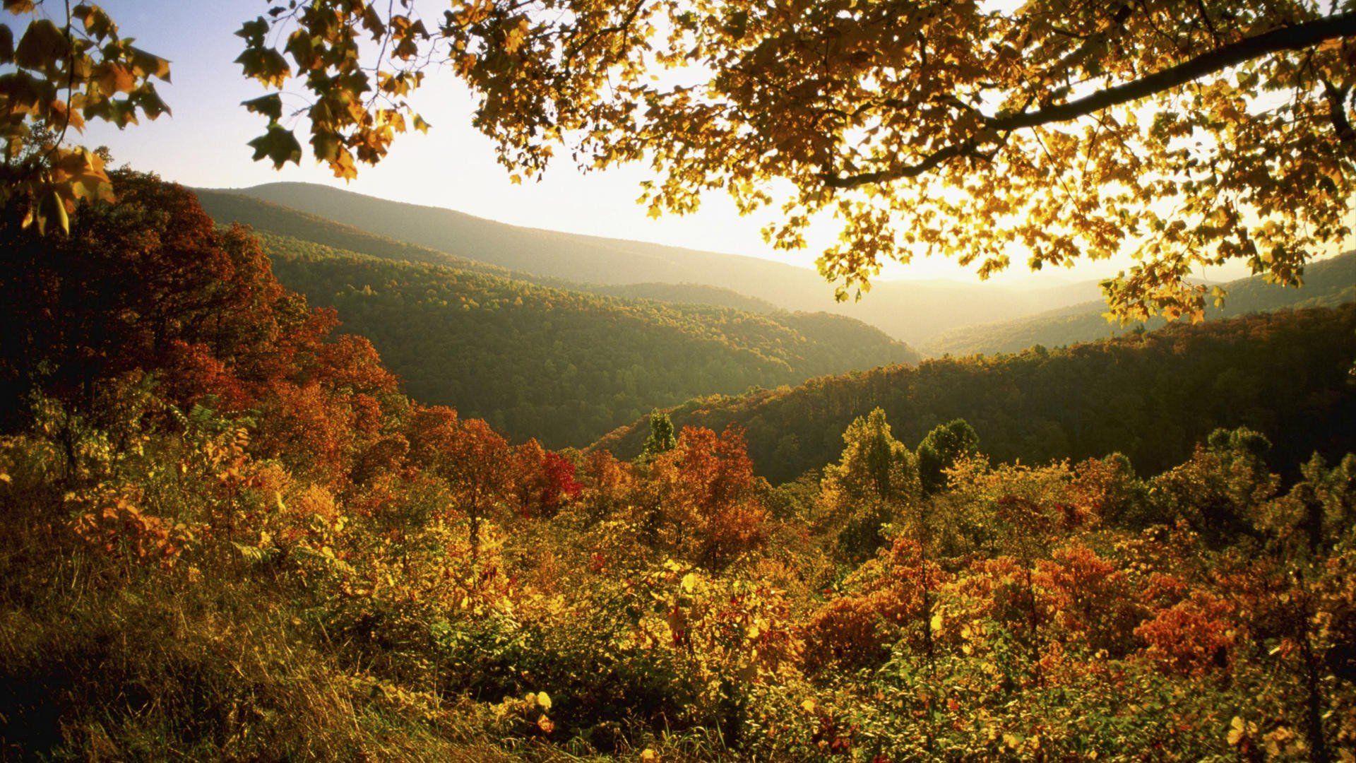 Shenandoah National Park 404917